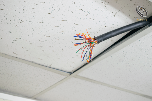 multicore cables suppliers India