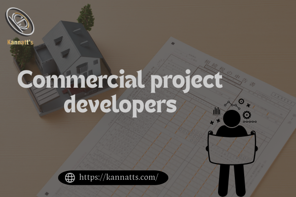 Commercial project developers
