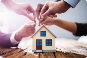 real estate investmen